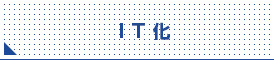 IT化
